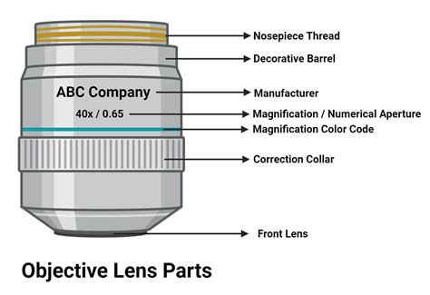 microscope objective lenses|The Anatomy of an Objective Lens .